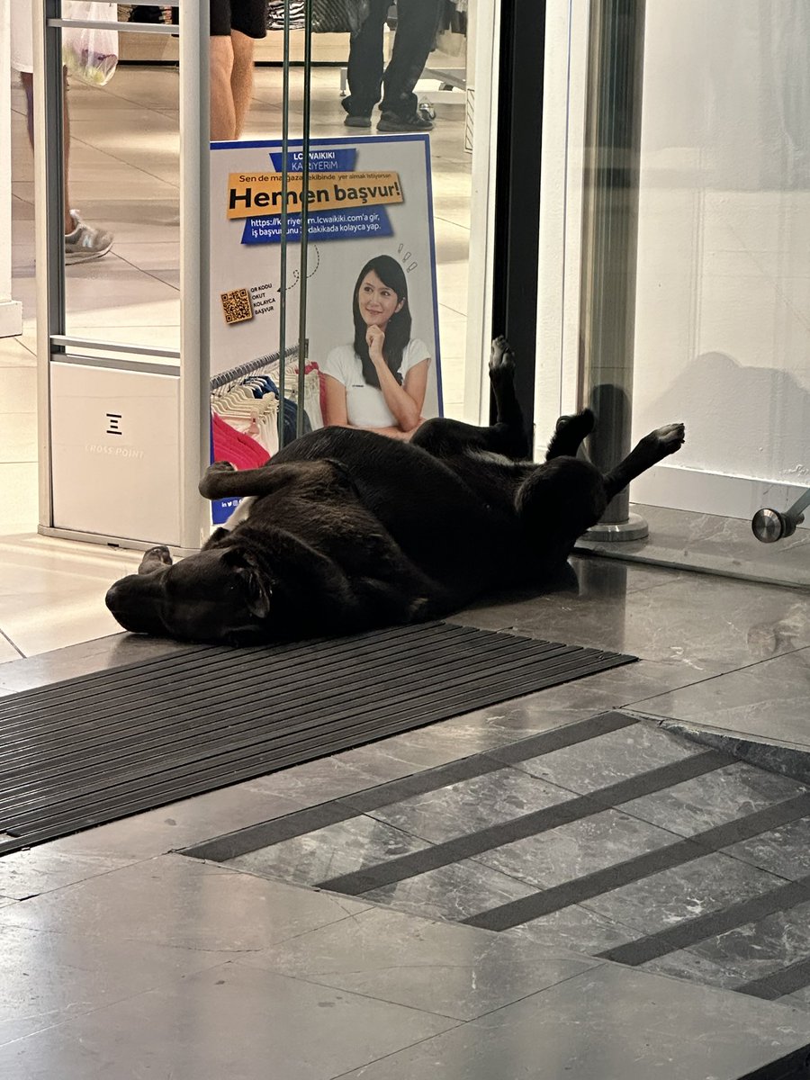 Şu şekil uyumaya ihtiyacım var