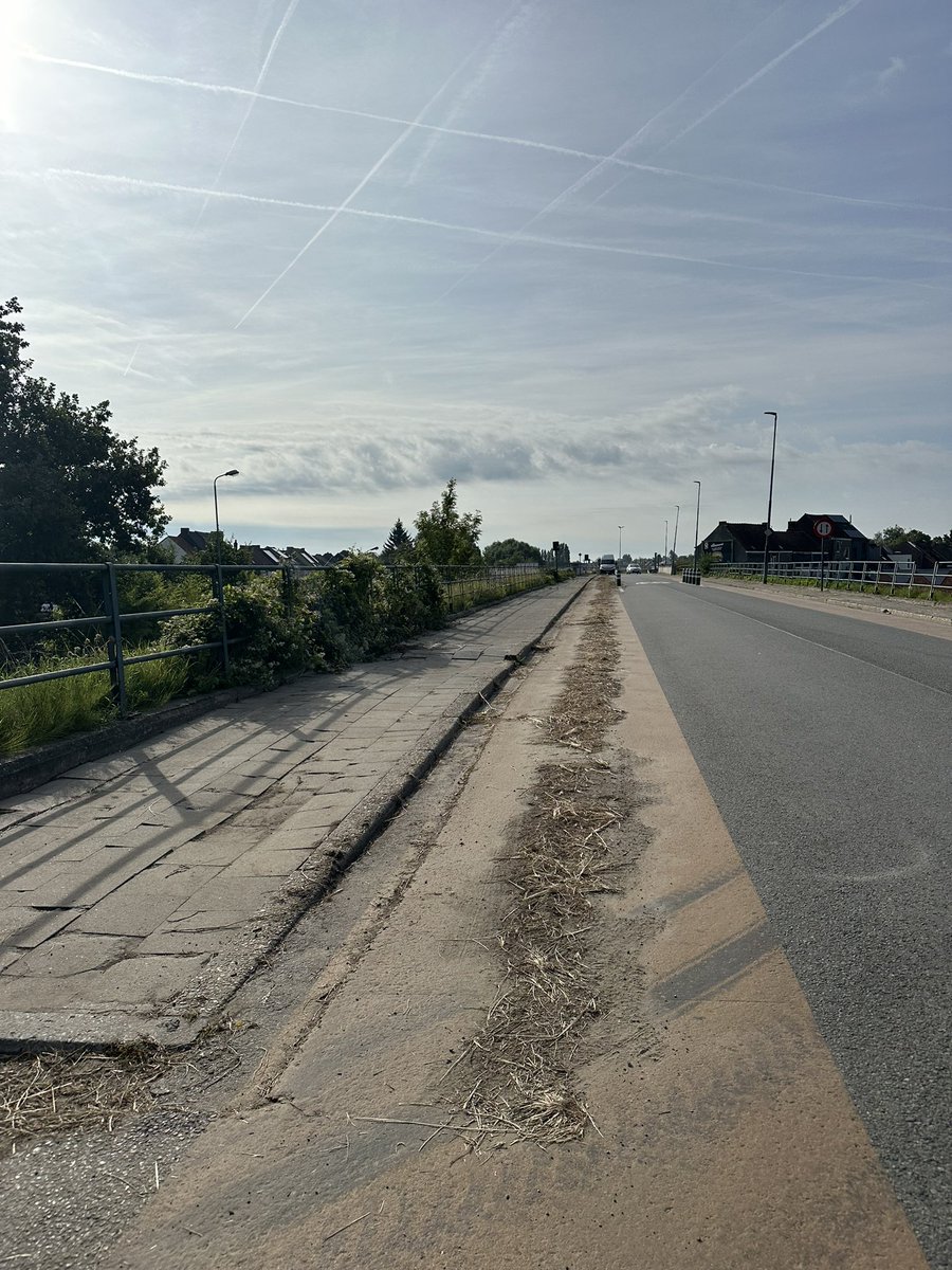 serena_vd's tweet photo. Merci @Stadgent om de bermbegroeiing te verwijderen! Zouden jullie dan ook het groenafval (dat er nu al 5 dagen ligt) kunnen weghalen van het fietspad zodat de fietsers hun nek niet breken? Merci! #9000 #durftevragen https://t.co/YZAdKVpH4t