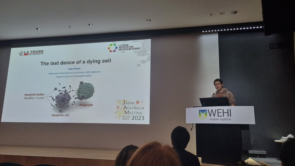 Great to see the boss presenting our lab's great work on apoptotic bodies today at #JAM2023 !! <a href="/Dr_Ivan_Poon/">Ivan Poon</a> <a href="/LabACDC/">ACDC Lab</a> <a href="/AusCellDeathSoc/">Australasian Cell Death Society</a>