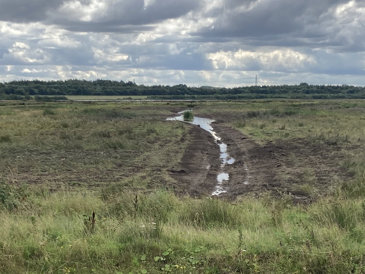 John Ingham tweet media