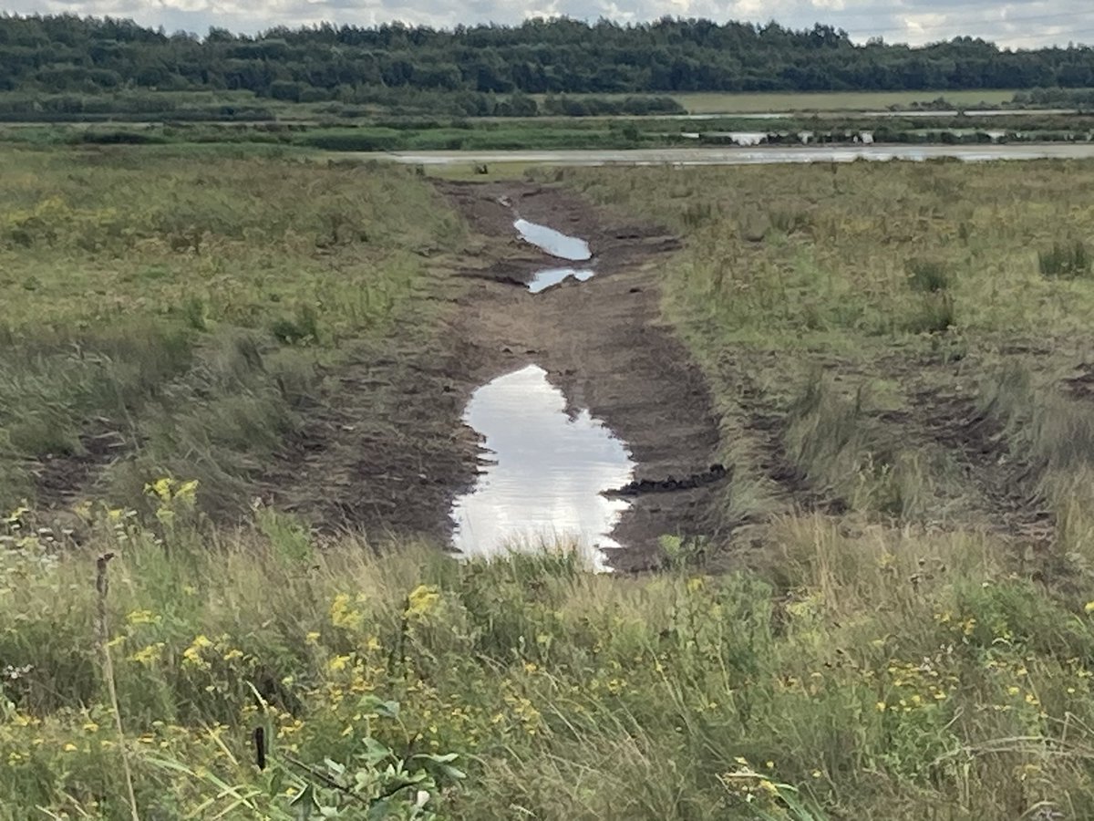 John Ingham tweet media