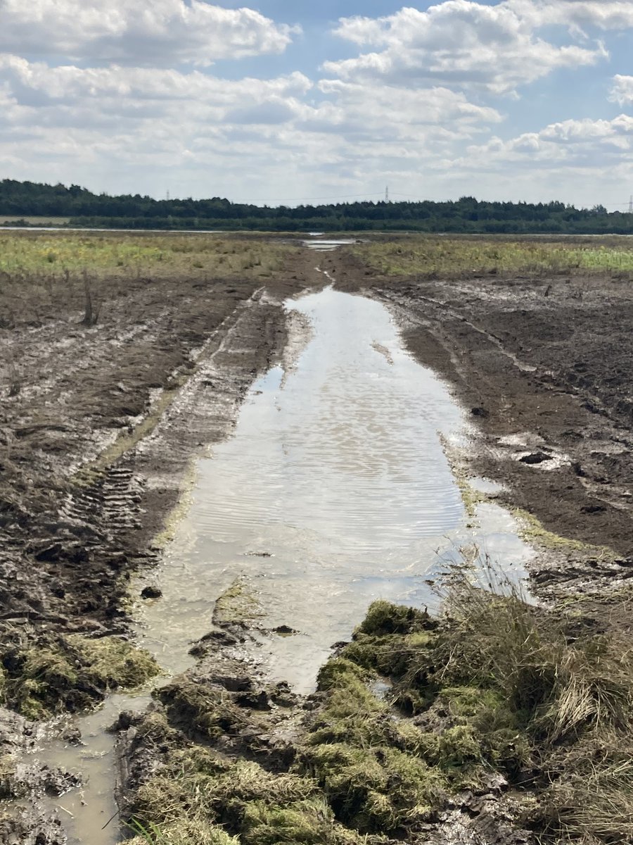 John Ingham tweet media