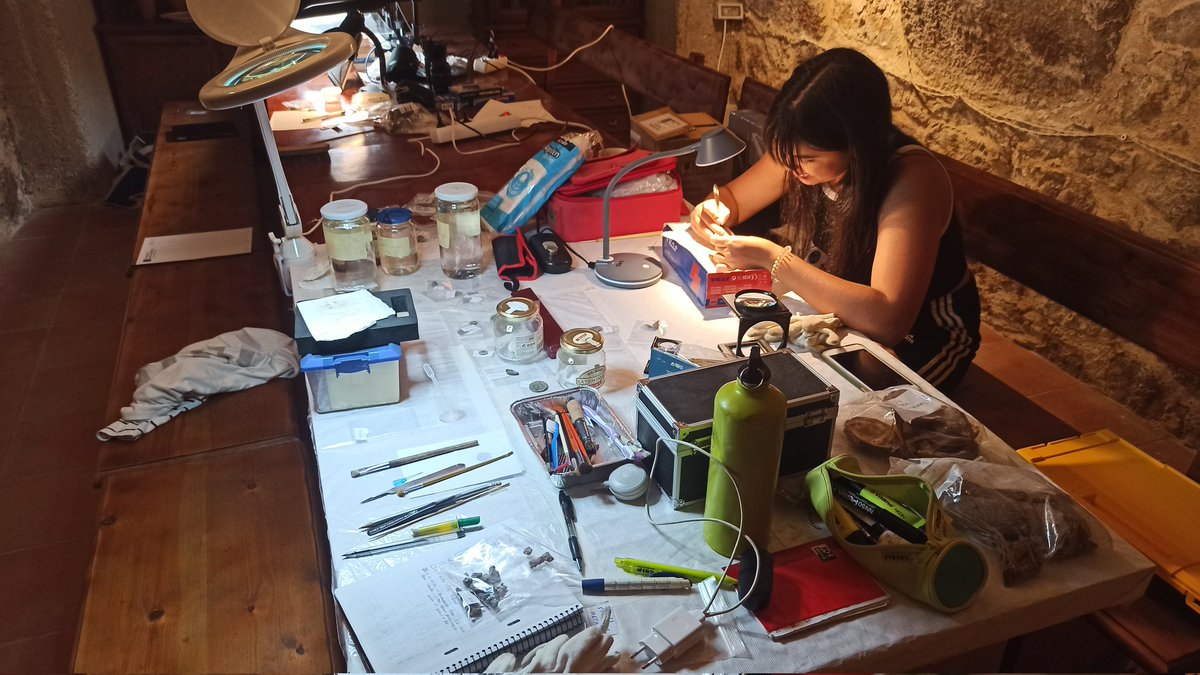 El laboratorio de campo ya está a pleno rendimiento, tratando los materiales recuperados en la excavación. #archaeology #archaologicalconservation #fieldlab