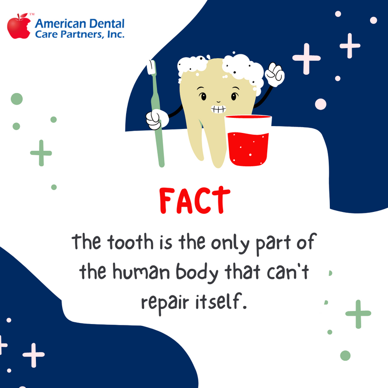 adcplancom's tweet photo. Do you know? Over 35% of Americans are missing at least one tooth. This is a very high number, but it absolutely does not need to be this much high. 
📞 713-784-9696 🌐https://t.co/HxyQwNlMnM
✉️ adc@adcplan.com #dentistinhouston #urgentcaredentist #miamidentalcare #dentistinmiami https://t.co/2zE1DIHYDp