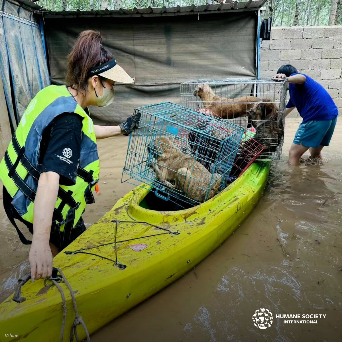 💔 Historic floods in China have caused thousands of animals to be without homes and in need of urgent help! 💔

Several shelters have been submerged in over 20 feet of water, leaving hundreds of dogs, cats and other animals stranded in the flood path, on rooftops and in trees.