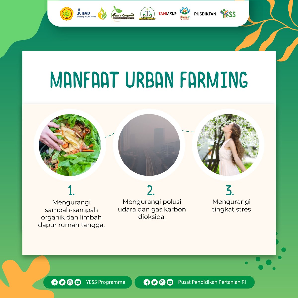yessprogramme's tweet photo. Buat #SobatYESS yang tinggal di tengah kota, urban farming bisa jadi solusi alternatif mengisi waktu luang.
Bahkan bisa jadi peluang menghasilkan cuan
#yessprogramme #bppsdmp #pusdiktan #kementan #ifad https://t.co/OTlFhezKC7
