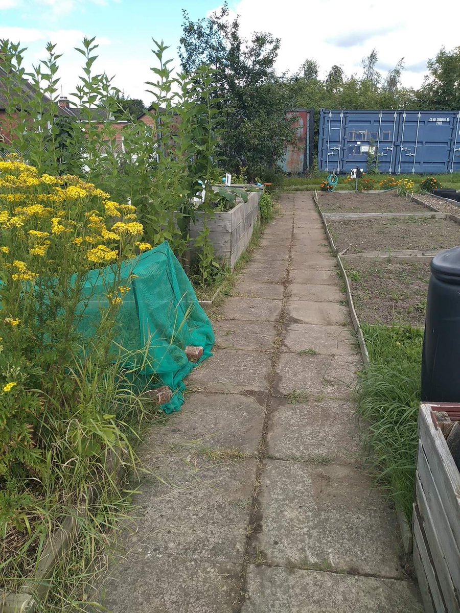 Dig In Community Allotment tweet media