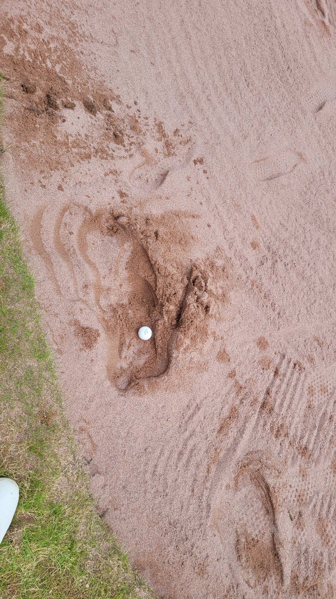 AkiraRopo's tweet photo. Voisi korjata omat jäljet ennen seuraavaa lyöntiä 😅😆✌️⛳️ #bunkka #golf https://t.co/EH06JNpW31