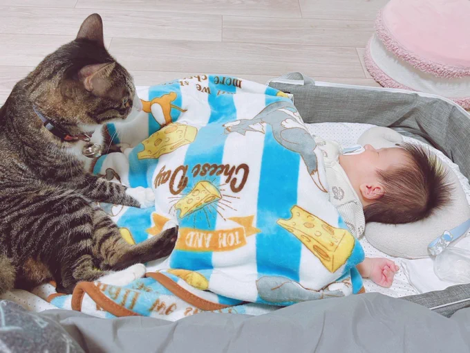 気になっているらしく離れないとか見に行きたい 