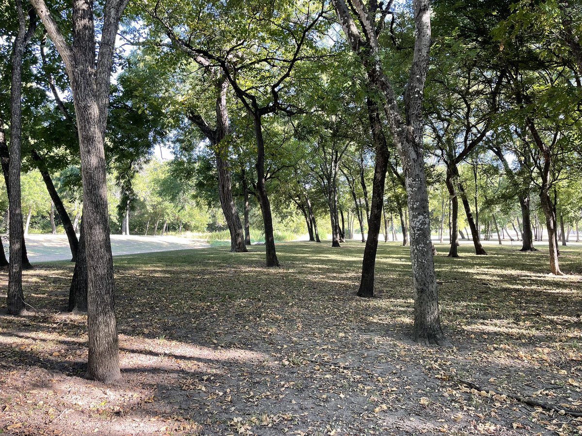 EricMcCabe11674's tweet photo. New property I’m working on. Beautiful terrain with slight elevation and moderate woods. Going to be a popular one with tons of variety!
Location announced soon.
#mccabedesign #discgolf https://t.co/vgcJBO8HvB
