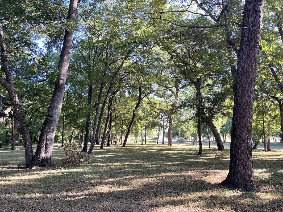 EricMcCabe11674's tweet photo. New property I’m working on. Beautiful terrain with slight elevation and moderate woods. Going to be a popular one with tons of variety!
Location announced soon.
#mccabedesign #discgolf https://t.co/vgcJBO8HvB