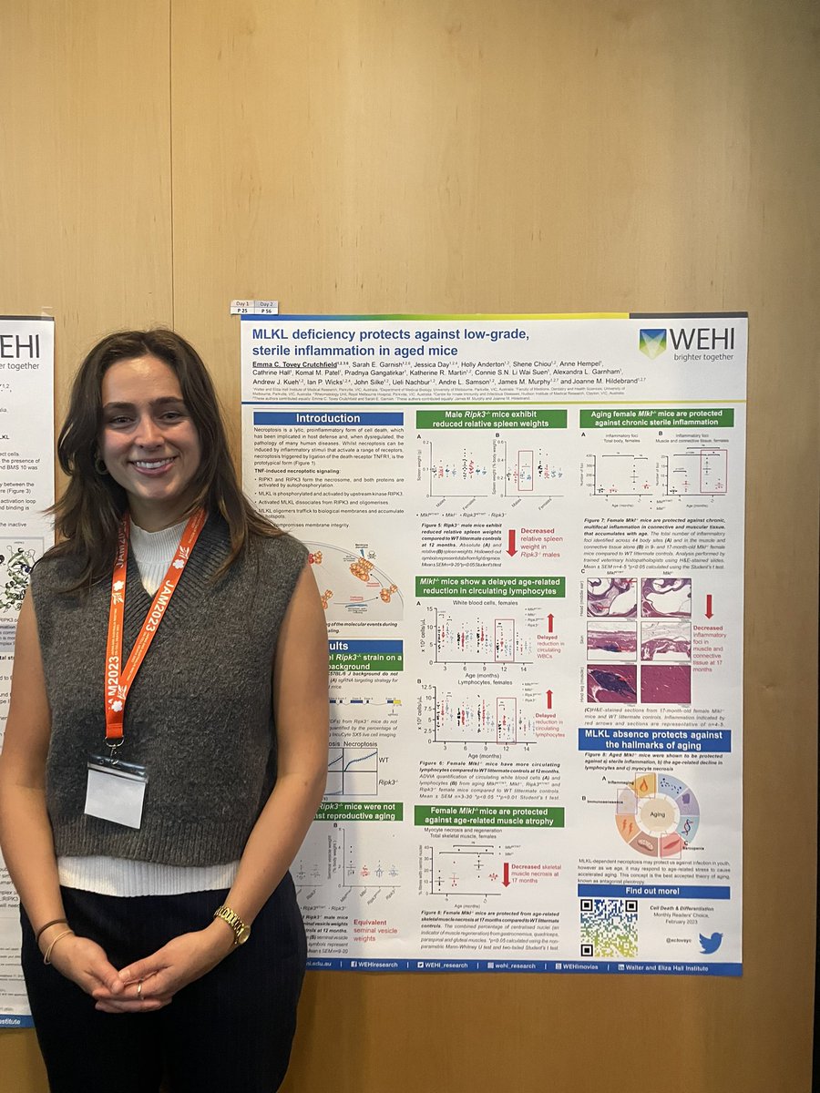 ectoveyc's tweet photo. Big win and a big loss ⚽️ 🥅 #Matildas thank you to ACDS for a fantastic day and the opportunity to present. The medicine I’m learning to practise begins in these rooms #GCSF #JAM2023 @AusCellDeathSoc @WEHI_research https://t.co/7gTgMnQkO2