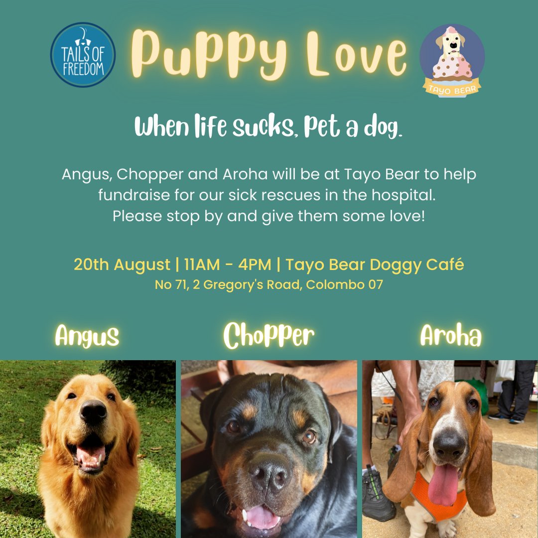 Join us for a fun meet and greet with our sweet rescues and the TOF team 🎉 We guarantee lots of kisses, cuddles, and snacks 🩷

We hope to see you at Tayo Bear between 11 am. and 4 pm. on Sunday the 20th of August ✨

#Fundraiser #Rescuedogs #Rescue #Adoptdontshop