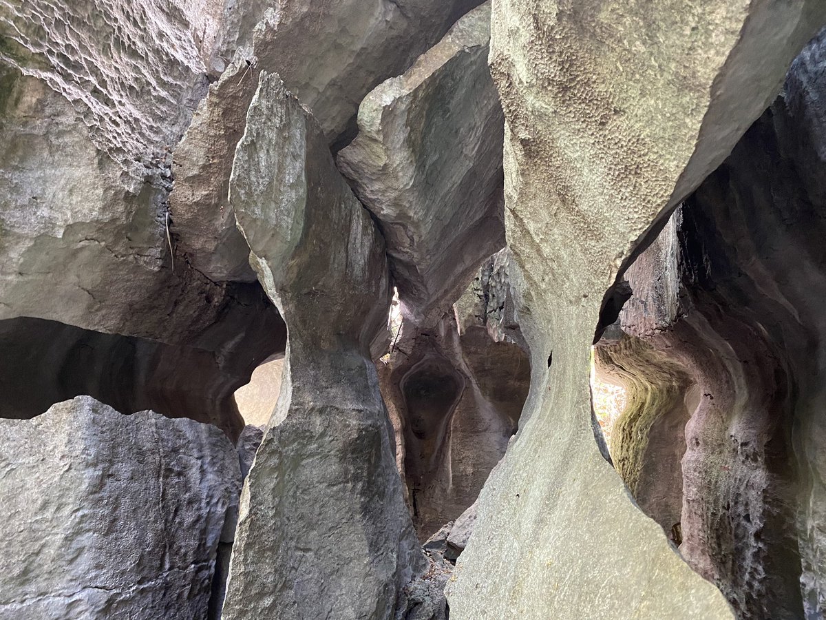 Zo’n 40 km ten noordoosten van Makassar liggen de karstbergen van Rammang Rammang. Logerend bij een Sulawesische familie, hebben we gewandeld en gevaren met mooie uitzichten. Ook veel fauna gezien: speelse apen, veel te grote spinnen en duizenden vleermuizen.