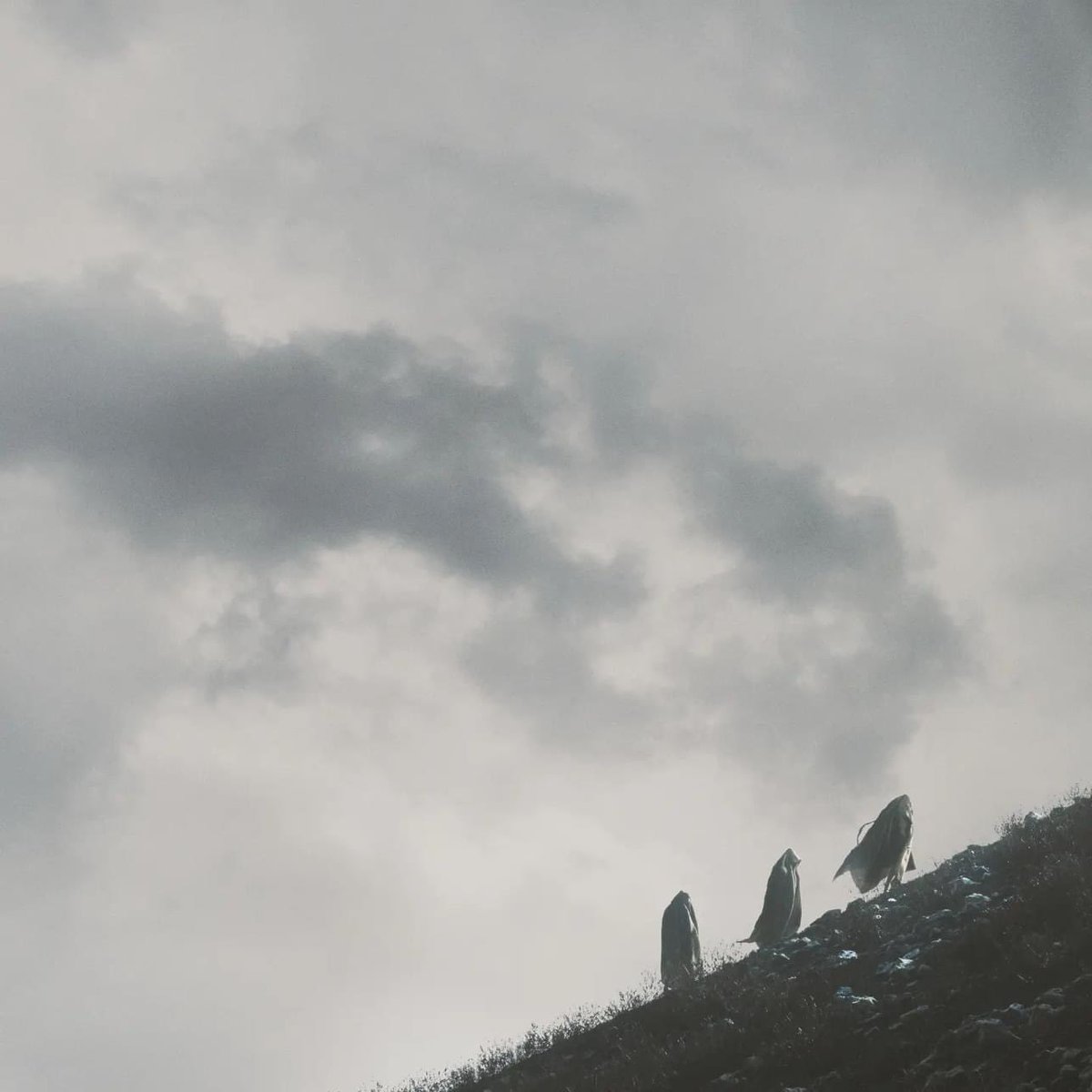 The Noise Club tweet media