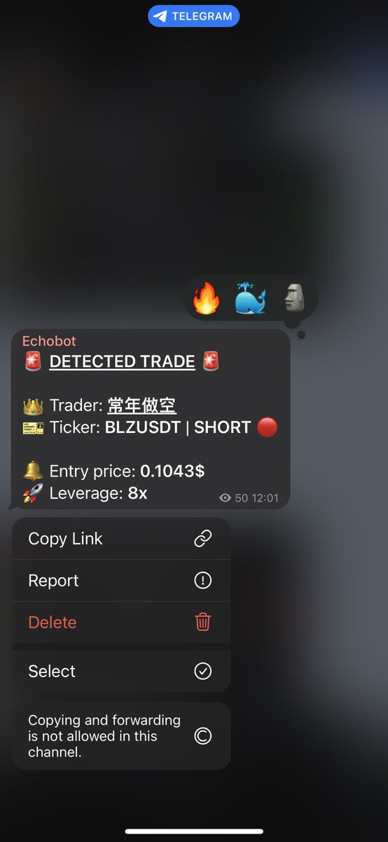 echobotfinance's tweet photo. So far today, our traders longed the bottom of $BLZ, and shorted the top of it. Community is printing!
$ECHO #TradingWithECHO https://t.co/LjeTDz3HgS