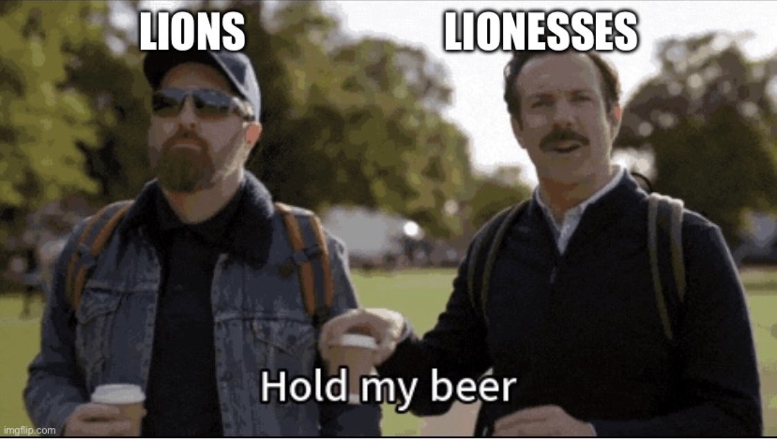 🏴󠁧󠁢󠁥󠁮󠁧󠁿 🦁 🏆 ⚽️ 🥅 #WorldCup #FIFAWomensWorldCup2023 #FIFAWomensWorldCup #LionessesDownUnder #lionesses #englandfootball