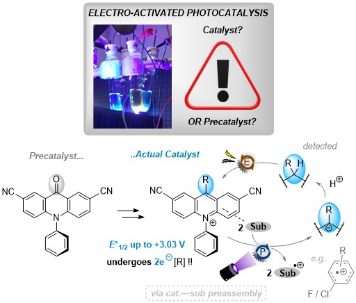 Barham Lab (@barhamlab) on Twitter photo Is the #photoredox cat. you add to the rxn really the active cat.?🤔We report how DicyanoAcridones are precats to record-breaking acridinium super-photooxidants (E ~3 V)💥that oxidize even ArCl&ArF in #photoelectrochemical rxns💡🔋
Out now in <a href="/angew_chem/">Angewandte Chemie</a>🎉
tinyurl.com/3twjv22d Is the #photoredox cat. you add to the rxn really the active cat.?🤔We report how DicyanoAcridones are precats to record-breaking acridinium super-photooxidants (E ~3 V)💥that oxidize even ArCl&ArF in #photoelectrochemical rxns💡🔋
Out now in <a href="/angew_chem/">Angewandte Chemie</a>🎉
tinyurl.com/3twjv22d