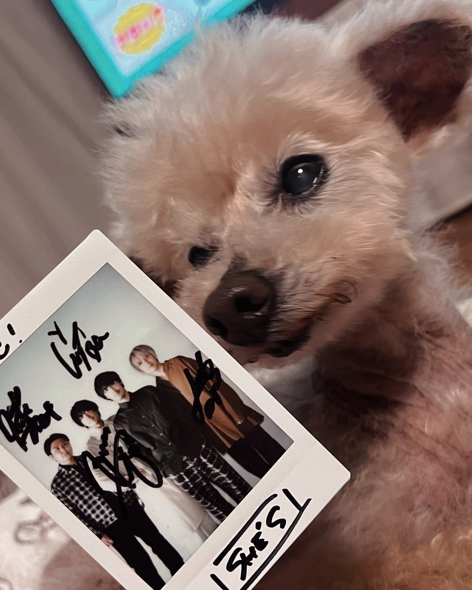 ぷるーと (@pluto929pluto) / Posts / X