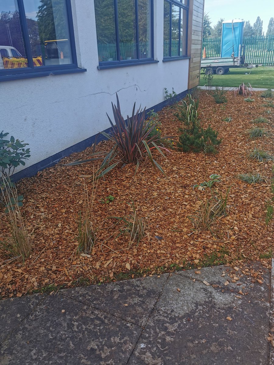 Wellspring_Eastlincs_Estates tweet media