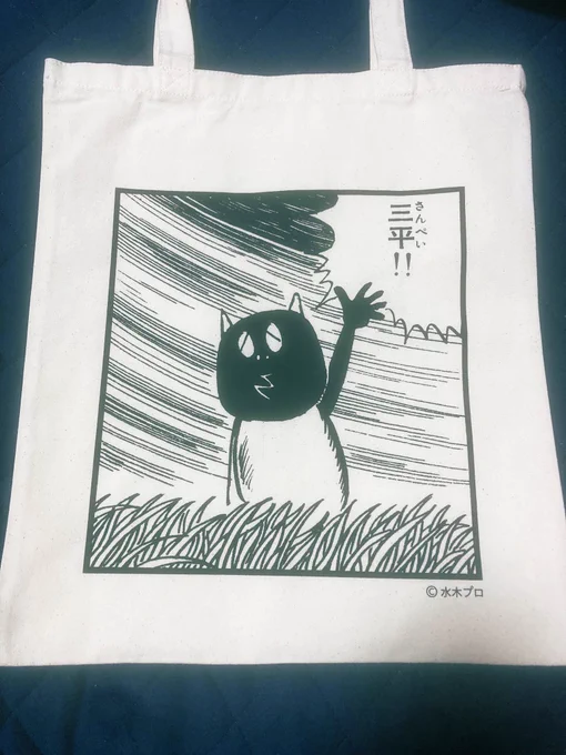 今日買ったかっぱの三平のたぬきのトートとても良い 