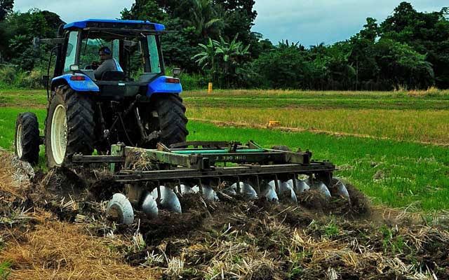 agrosupplyug's tweet photo. #Farmingtip (thread) 
Preparing land for maize growth🌽🌱

👉Clear the land: Remove any weeds, rocks, or other things to make a clean area for planting.
👉 Test the soil: Check the soil to see what nutrients it needs and if it's too acidic or alkaline. This will help you know... https://t.co/KwIFYJfnKQ
