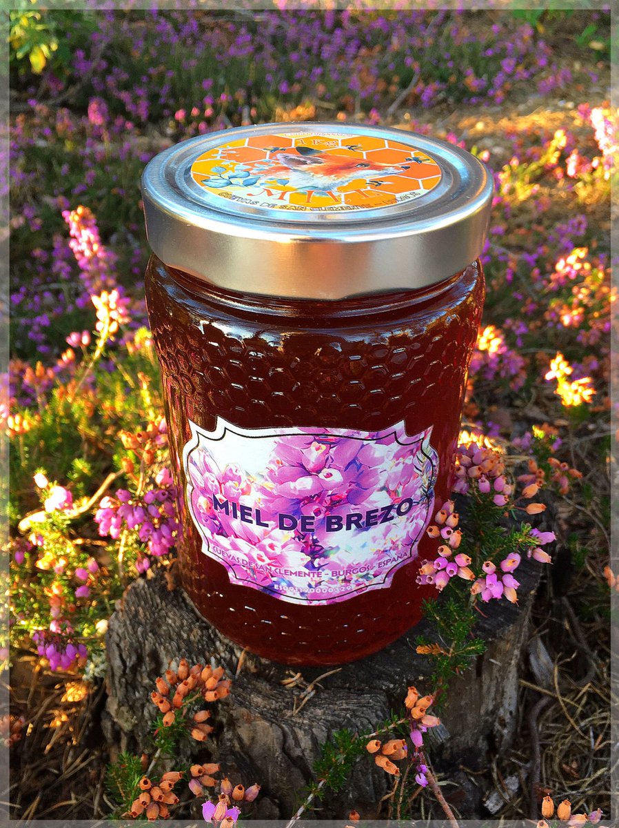 SixtoRuralHouse's tweet photo. @asensio_juanjo 🍯🌸Brezo🧑🏼‍🚀🐝 https://t.co/wkuMxFLVVB
