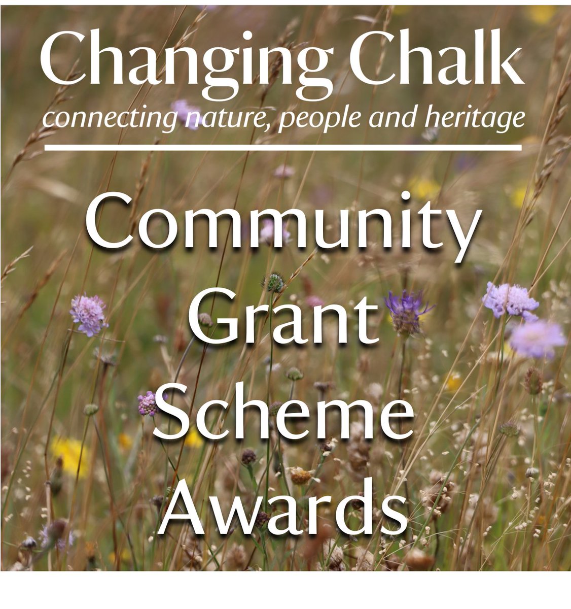 Congratulations to our very first award winners in our #ChangingChalk #CommunityGrantsScheme. With projects ranging from #WellbeingInNature to #Archaeology for a wonderfully diverse range of local people and communities, we’re excited to see your projects bloom.