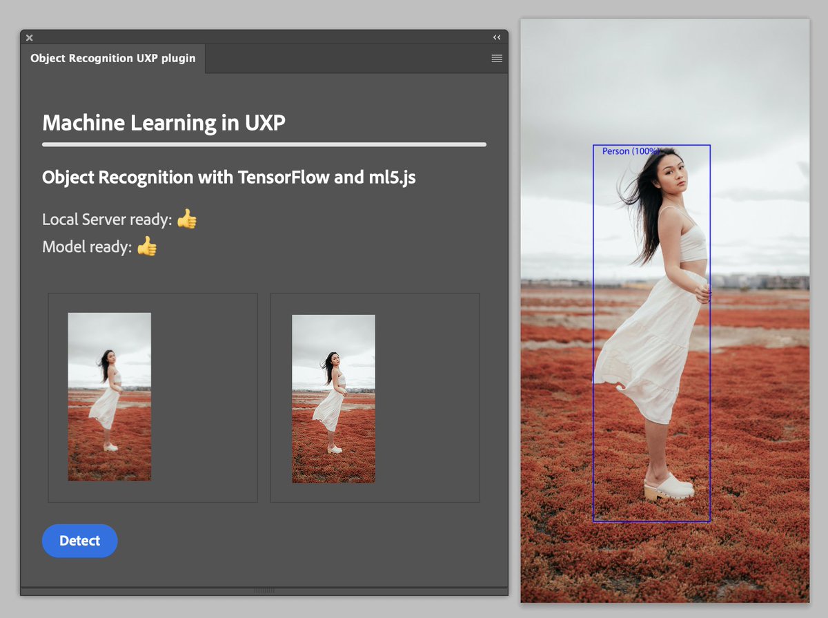 undavide's tweet image. I&apos;ve come up with a nice example for the book: a #UXP plugin that uses TensorFlow.js via ml5.js with an Object Detection model (local!): it leverages the new Imaging API to suck pixel data from a Photoshop and send it to the ML engine.