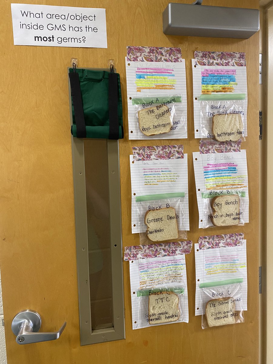 Haley Barkley tweet media