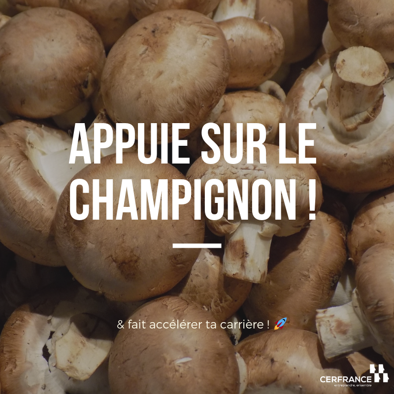 Cerfrance85's tweet photo. Appuuuuuuuuie sur le champignon &amp; fait accélérer ta carrière avec Cerfrance ! 🍄

L'ingrédient de la réussite ? Postuler chez Cerfrance Vendée ! 😁 

L'aventure commence sur : https://t.co/kHSQO0YcBC 🚀 https://t.co/Wd4KjthmMT