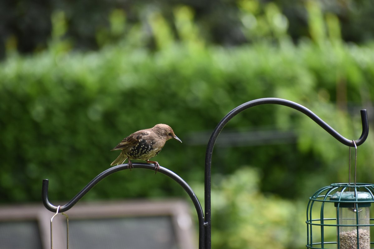 Dan Rogers (On Blue Sky too) tweet media