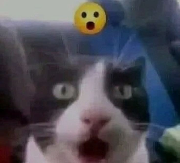 ЧТО БЛЯТЬ