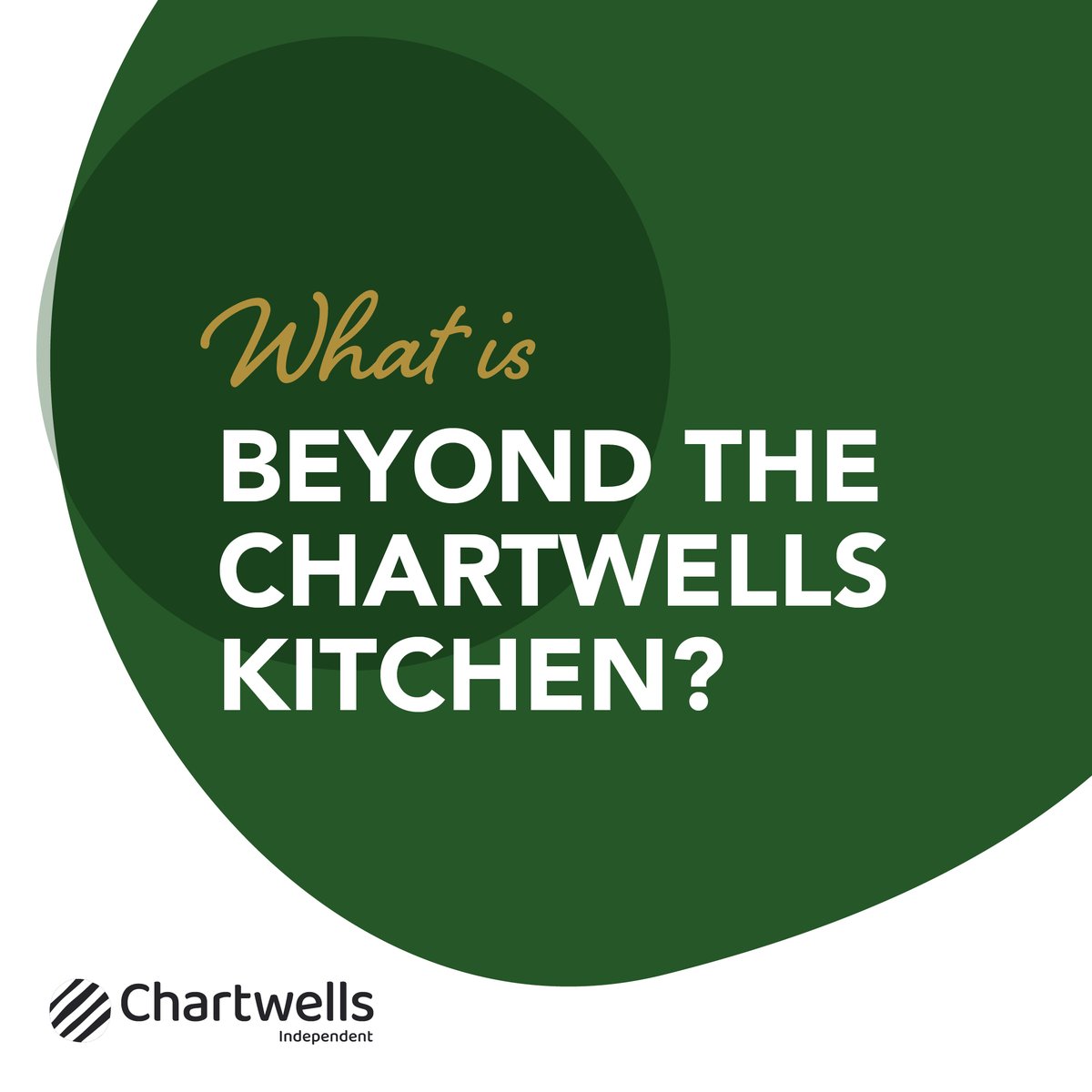 Beyond the Chartwells Kitchen is our award-winning educational workshops that enhances #NutritionEducation beyond textbooks, focusing on food nutrition, well-being, and sustainability. Our workshops ignite enthusiasm for health, equipping young people with skills for life.