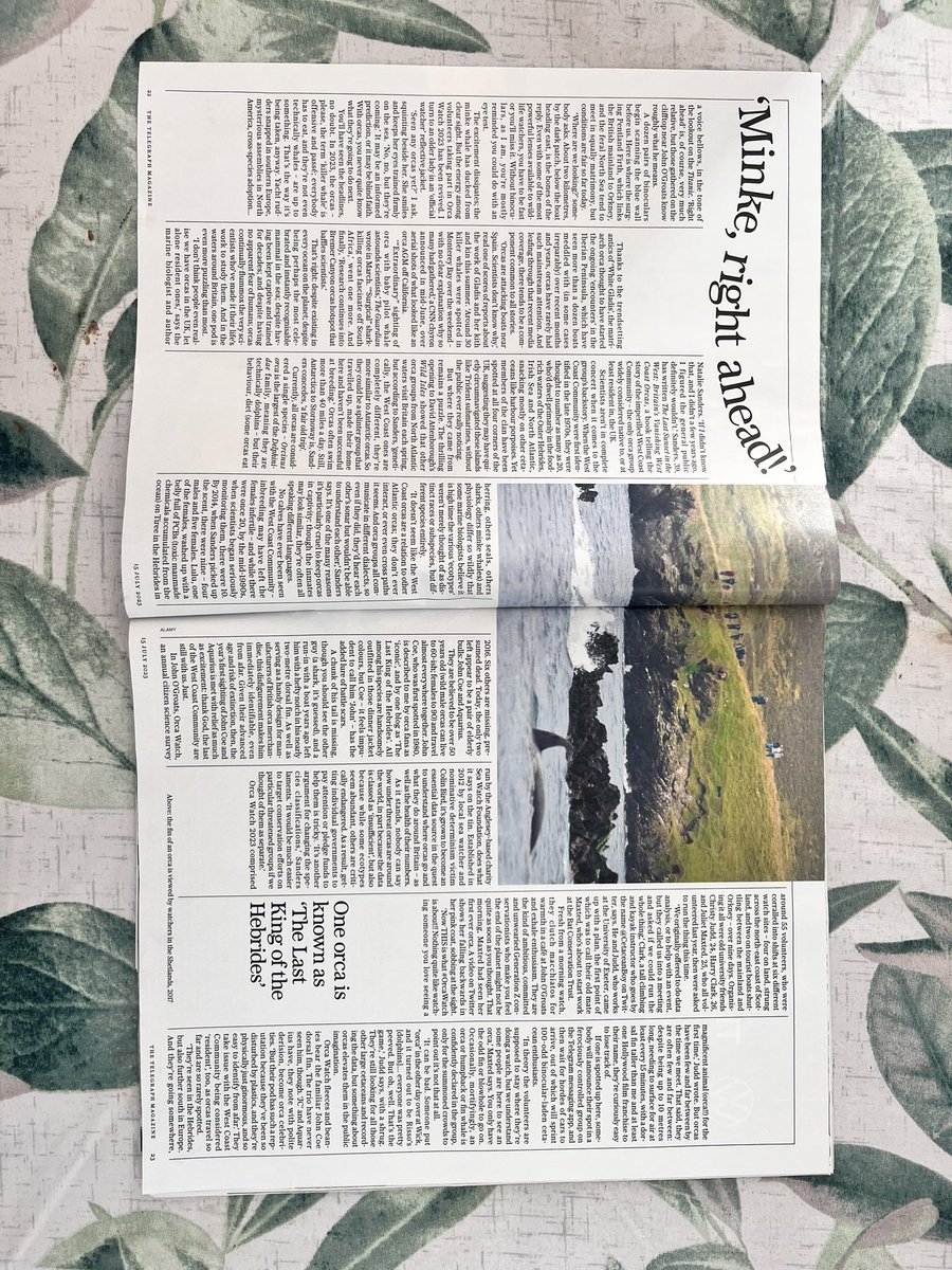 Christy T. Judd (She/Her) tweet media