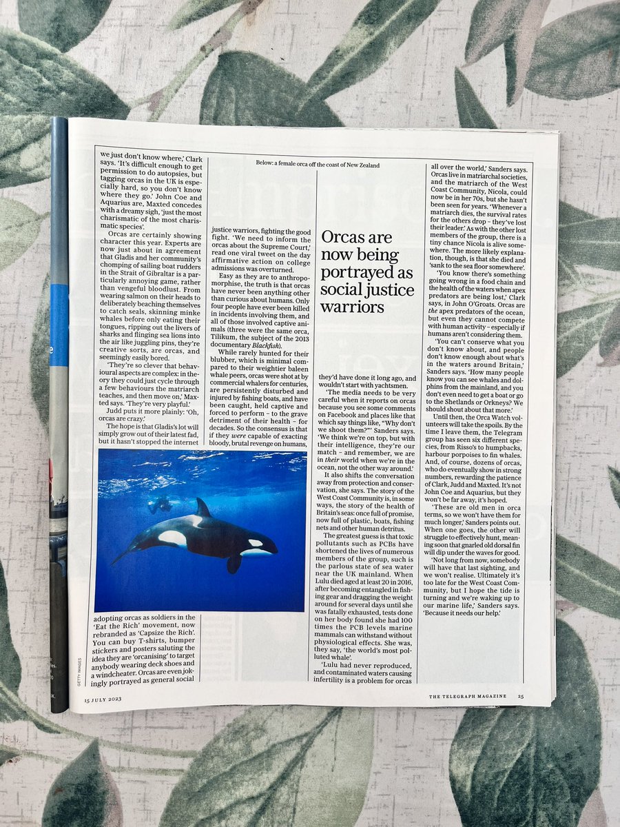 Christy T. Judd (She/Her) tweet media