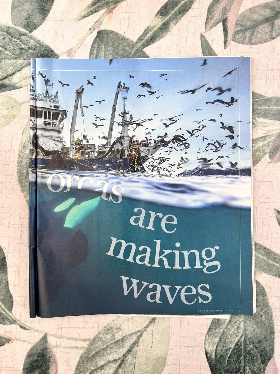 Christy T. Judd (She/Her) tweet media