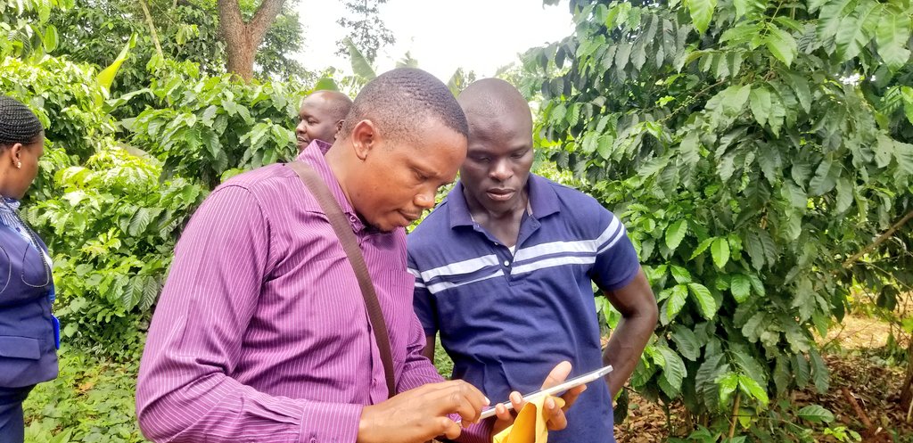 AxiomZorn's tweet photo. Healthy soil, healthy plants, healthy food, and healthy you, this is all you need this farming season. Reach out @Axiomzorn and get access to dependable practices for better yields through our #eadvisory services #fertilizeroptimizationtool. https://t.co/v553LdjKXw