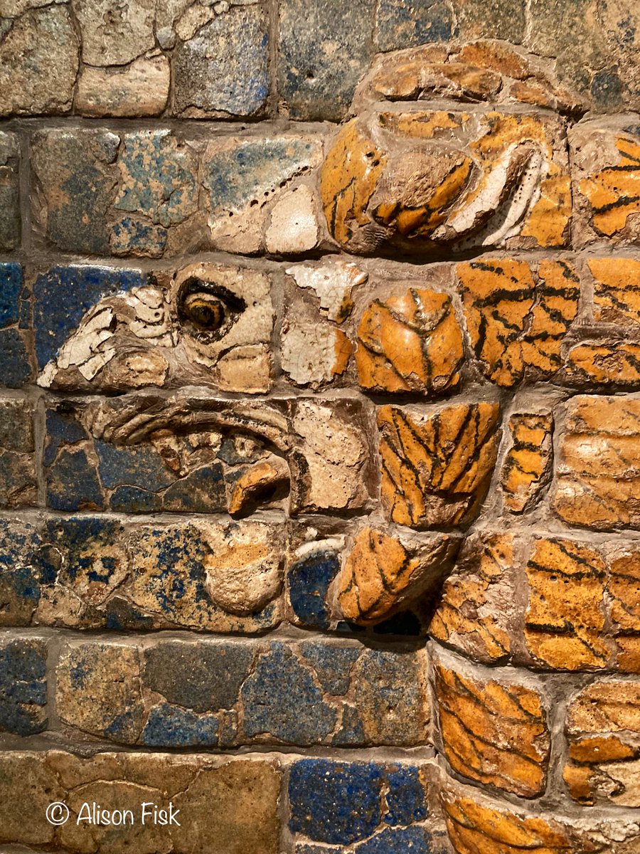 AlisonFisk's tweet photo. Ancient glazed tile relief (detail) of the ‘Lion of Ishtar’. From the Processional Way, ancient city of Babylon (modern-day Iraq), c. 575 BC.

Glyptotek Museum. 📷 my own

#ReliefWednesday
#Archaeology https://t.co/MxL9uC86zA