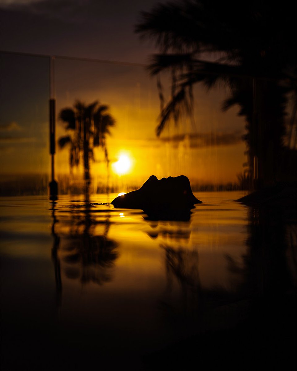 GranMeliaHotels's tweet photo. At #GranMeliá Palacio de Isora, as the sun sets, you'll experience a stunning display of colors that will evoke an irresistible desire to remain in that moment forever. Hit the like button if you also believe that golden hour is more than just a time of day.

#ALifeWellLived https://t.co/aoPzsRZoPv