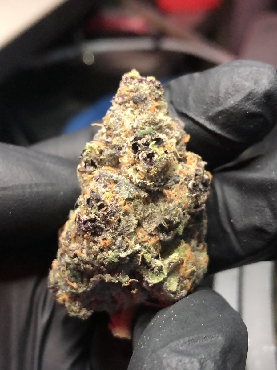 GrowAllDay420's tweet photo. Indoor Og 💯 เริ่มต้นเพียงแค่ 100 บาท เท่านั้น!!! ลองแล้วจะติดใจ
ติดต่อมาได้ที่ https://t.co/bsXOnlx0CE

#กัญชา #กัญชาog #กัญชาออแกนิค #กัญชากรุงเทพ #กัญชานอก #420day #กัญชาราคาส่ง #ศรีนครินทร์ #Thailand #สมุทรปราการ #รัชดา #แพรกษา #กัญชาราคาถูก #รังสิต https://t.co/aO3EWLdRmF
