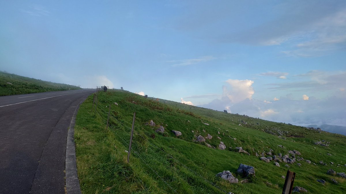 tsubasa-H2SX tweet media