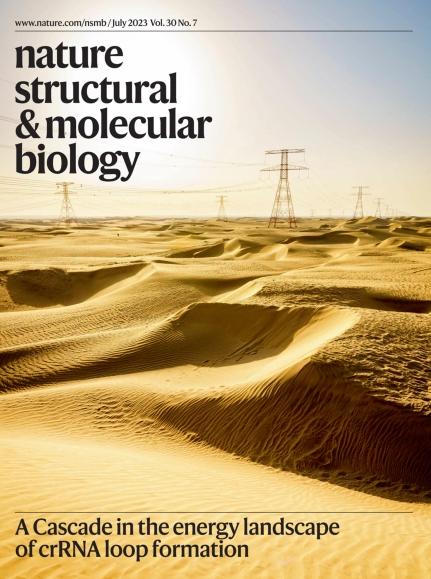 NatureSMB's tweet photo. #ICYMI We featured cascading dunes on the July cover, highlighting a study by Kauert et al. 

the paper: https://t.co/waIuHOP3oe

check out the entire issue here: https://t.co/ktBdJ9Ix4x https://t.co/zU1hhQZnQx