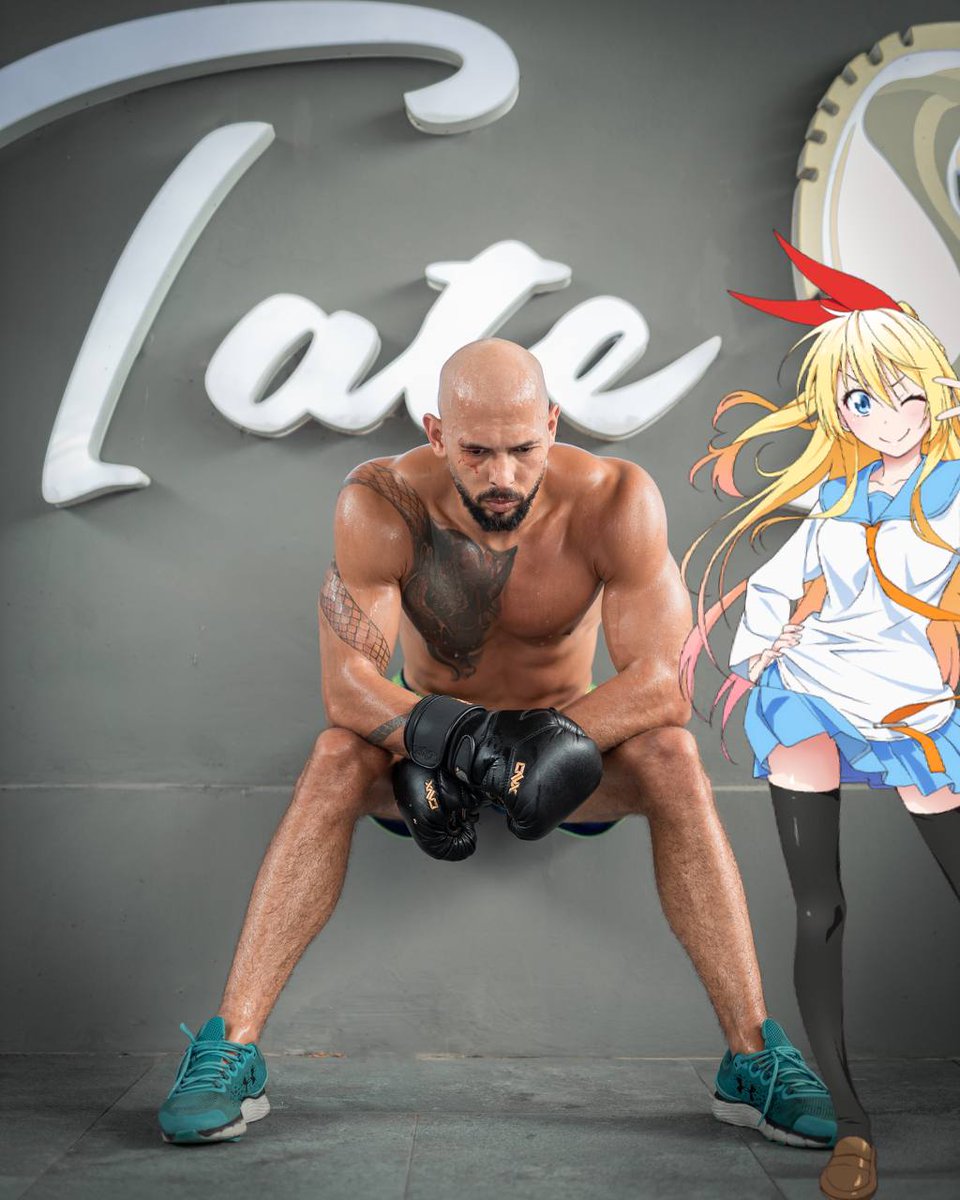 Andrew Tate tweet media