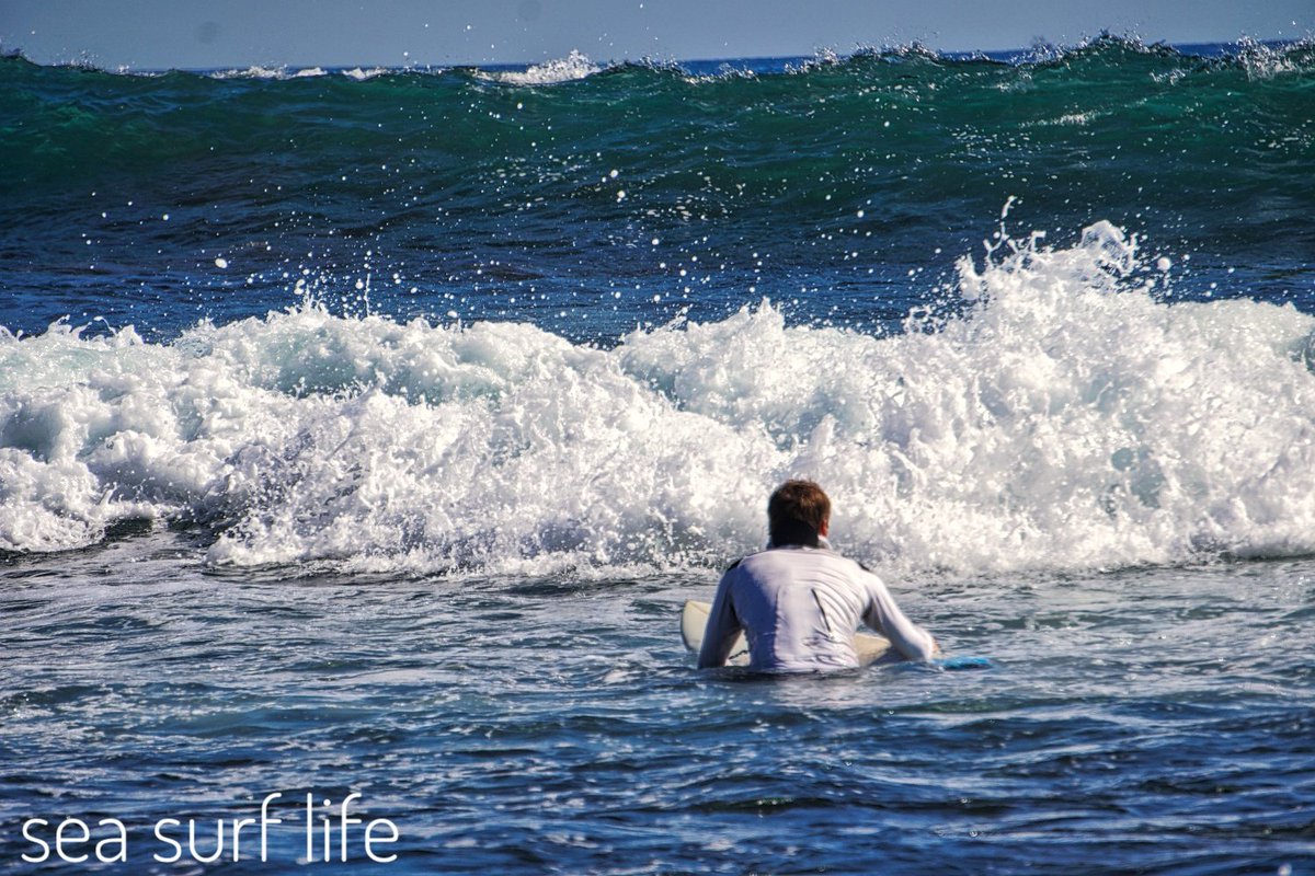 SEA SURF LIFE
📸 

 🌊 🌊 🌊 
#sea #surf #life #surfers #surfing #surfer #surfingday  #surfcity #waves #surfgirl   #surflife  #ocean #seaside #surftrip  #beachlife   #surfstyle  #surfersparadise   #ridethewave #elsalvador #surfelsalvador 
🌊🌊🌊