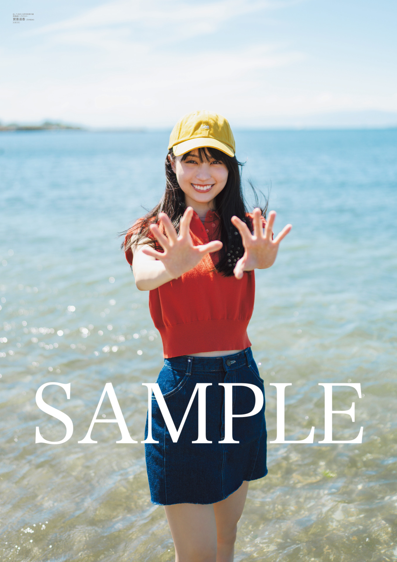 賀喜遥香　トートバッグ　のぎBox　S賞 賀喜遥香 トートバッグ のぎBox S賞 乃木坂46 賀喜遥香 S賞