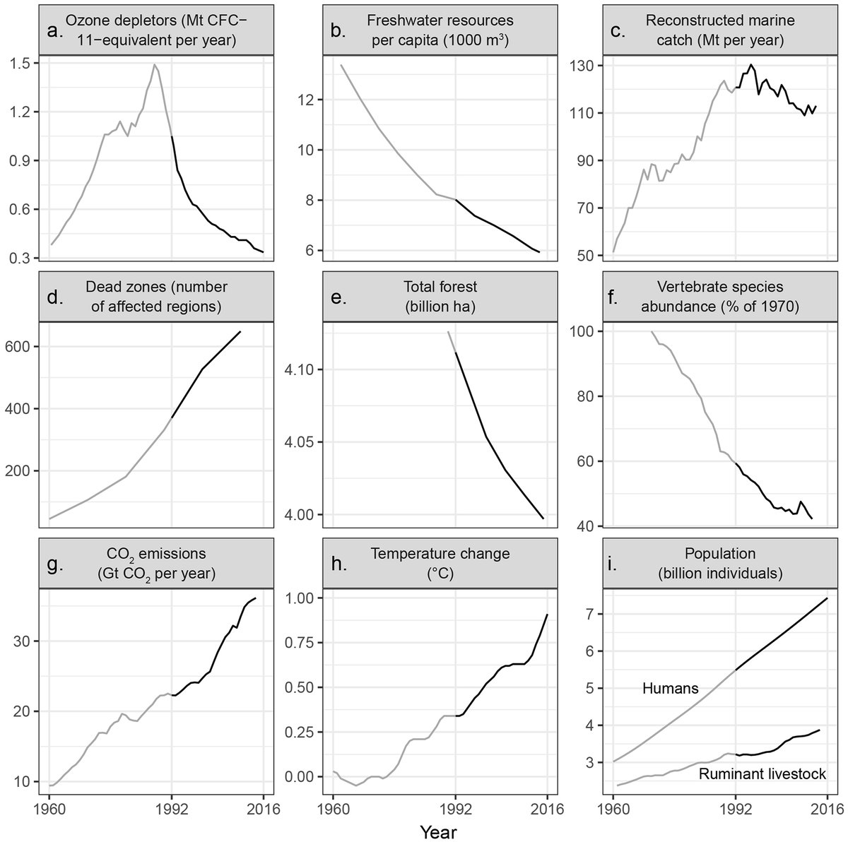 Peter Strachan tweet media