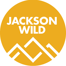 filmsat59's tweet photo. Great News for the team on #BigBeasts The Elephant Seal - a @JacksonWild nomination for #Sound all done with @filmsat59 #PostProduction @PlimsollProds @AppleTV https://t.co/J2UnHlxjQx