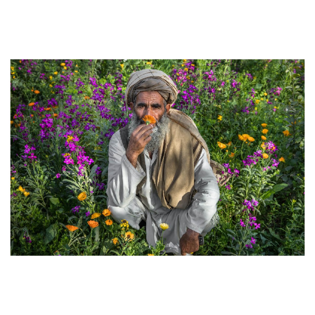 emergency_ngo's tweet photo. #Afghanistan faces serious humanitarian &amp; economic crises. Our friends at @ishkar_co are determined not to let the country be forgotten.
Their annual print sale has raised £110,000+ for EMERGENCY facilities in Afghanistan.
Shop the 2023 collection now: https://t.co/pkeSJQfbAi https://t.co/8NZJNbqR4r