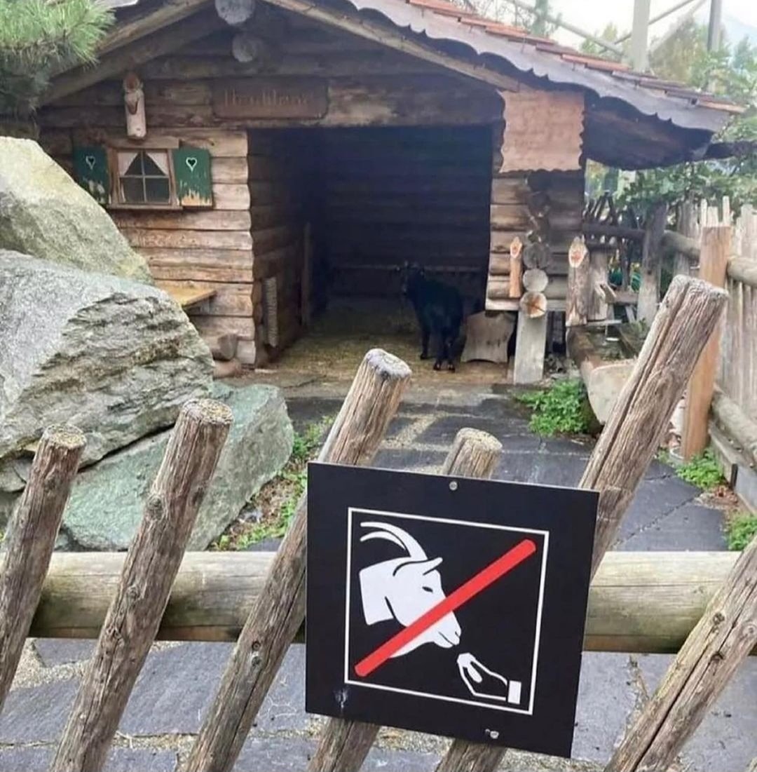 Scheiß Verbotsgesellschaft! 😡 Ich rede mit den Ziegen so viel Italienisch, wie ich will! 😡
